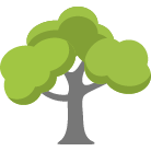 Coeur D Alene Tree Removal